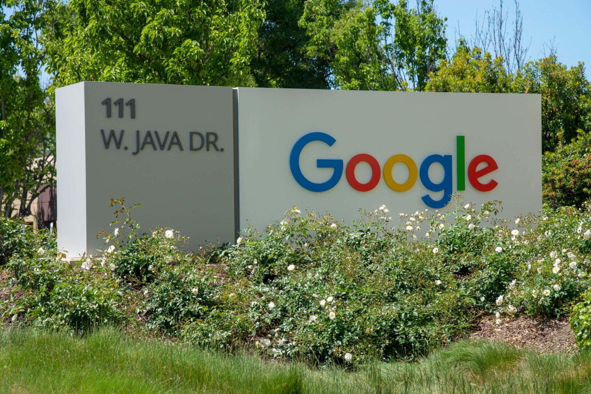 Google Logo vor Firmenzentrale bei W. Java Dr. in einer grünen Umgebung.